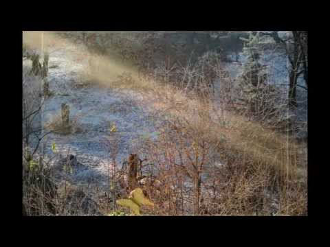 #Sonnenaufgang  - #MusikzumStreicheln von  #JohannesR.Köhler CD #Behutsamkeit