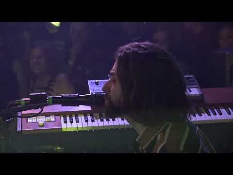 Dogs In A Pile - 12/30/2024 - Putnam Place - Saratoga Springs, NY