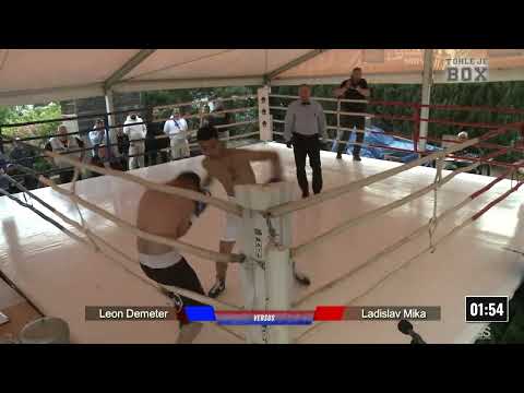 Leon Demeter - Ladislav Miko