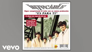Intocable - Para Qué Volver (Visualizer)