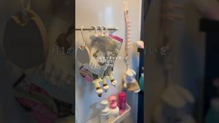 おはようございます🌿今日はお掃除vlog！今日は仕事！頑張ります🙌🏻　#minivlog #ワーママの日常 #日常vlog #生活音asmr #生活音