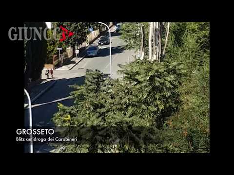 GROSSETO - Blitz antidroga dei Carabinieri