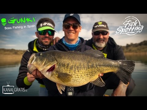 download lagu mp3 mp4 Bass Fish In French, download lagu Bass Fish In French gratis, unduh video klip Bass Fish In French