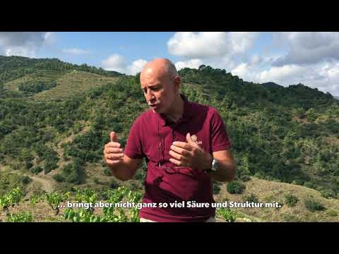 Mas Doix - ein Besuch im Priorat