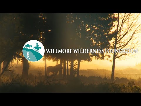 The Willmore Wilderness Foundation