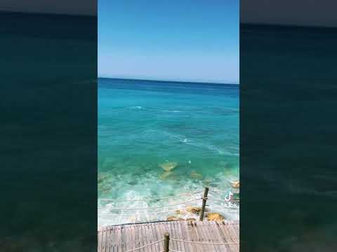 ٢٥ ديسمبر ٢٠٢٣