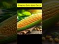 Top 10 Amazing Facts About Foods Food Facts Foodzoom