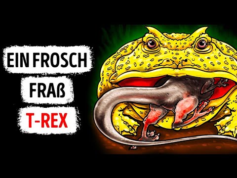 Der Biss dieses Froschs ist kräftiger als ein Wolf, pass auf!