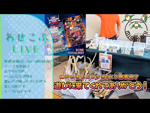 わせこふLIVE#167　おつさまでした！「神戸いきもんコラボDX2」