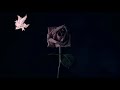 Lil Peep Walk Away As The Door Slams Acoustic SLOWED TO PERFECTION