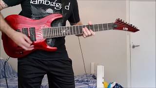 Good Tiger - Salt of the Earth, Guitar Cover