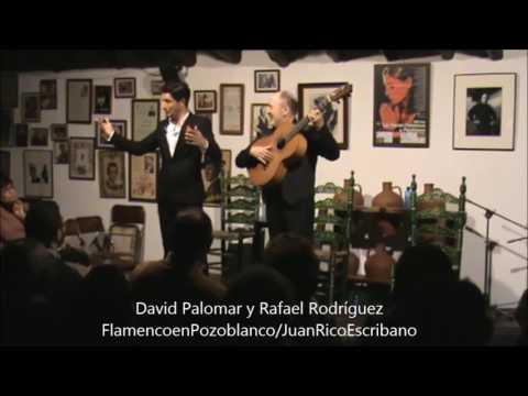 DAVID PALOMAR Y RAFAEL RODRÍGUEZ / VILLANCICOS POR BULERIAS