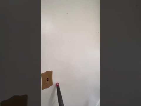 5348 London Road - Video 2 of 2