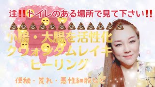 No.11【✨小腸・大腸を活性化💪✨】注‼️💩便秘・荒れ・悪性細胞さようなら👋💖