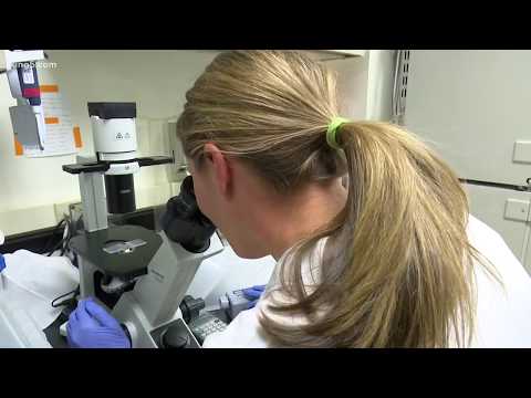 Vaccine needed to fight HIV/AIDS epidemic