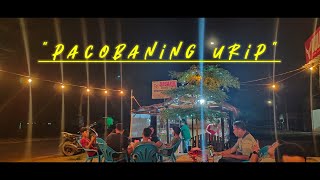 Download lagu PACOBANING URIP - NDARU BRENG || COVER APEN DENIM mp3 Download lagu PACOBANING URIP - NDARU BRENG || COVER APEN DENIM mp3