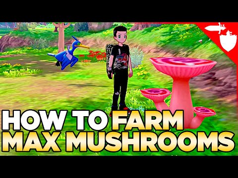 How to Farm Max Mushrooms in Pokemon Sword and Shield DLC Isle of Armor