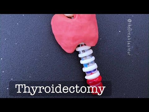 Playdough Surgery 🔪🦋- Total Thyroidectomy (and parathyroid autotransplantation)