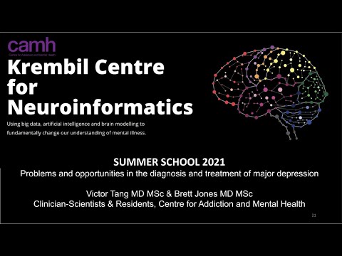 KCNI School: Problems and opportunities in the diagnosis and treatment of major depression