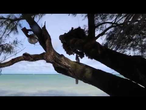 Scenes From Diani Beach Kenya