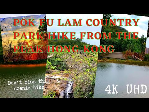 [4k] PARQUE COUNTRY POK FU LAM Pok Fu Lin | Trilha de Hong Kong | caminhada curta panorâmica | trilha de caminhada para crianças |