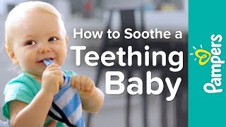 Baby Teething Remedies: How to Soothe a Teething Baby | Pampers