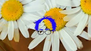 ilham - Never Even Know