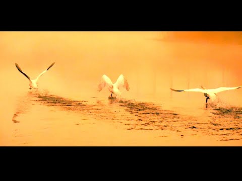 Irgendwo da draußen  Offizielles Video