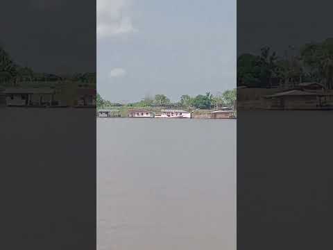 Arena Duarte no fundo. Paraná do Careiro #manaus #amazonas #careirodavarzea