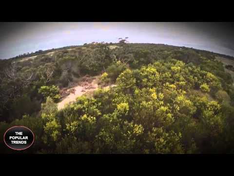 2m Wedge Tailed Eagle takes down Drone   Australia -The Popular Trens