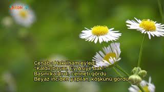 KONYA BÜYÜKŞEHİR BELEDİYESİ ŞEHİR VE AİLE ŞURASI  -    28.11.2025