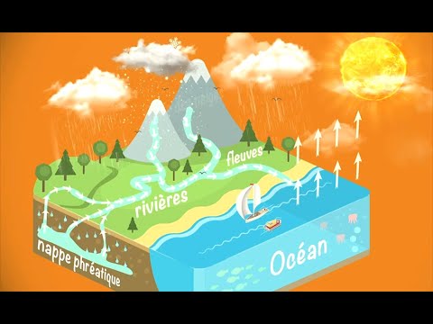 Le cycle de l'eau en vidéo - L'actu en classe