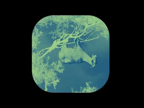 LILTUNE - LAGRIMA CAI