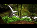 Chinna Chinna Vanna Kuyil Tamil Evergreen Song