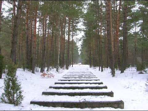 Treblinka - The 1943 Uprising (Episode 2)