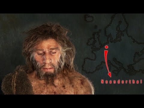 Neandertalczyk - najbliższy krewny człowieka rozumnego
