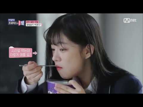 아이콘