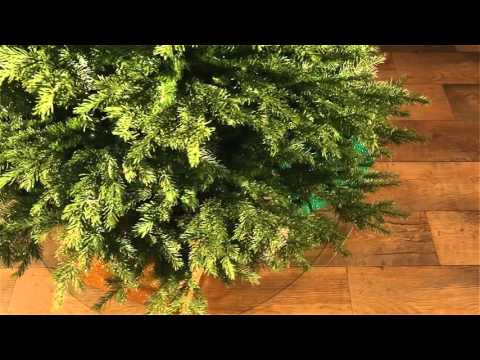 download lagu mp3 mp4 Bayberry Christmas Tree 6 5 Ft, download lagu Bayberry Christmas Tree 6 5 Ft gratis, unduh video klip Bayberry Christmas Tree 6 5 Ft