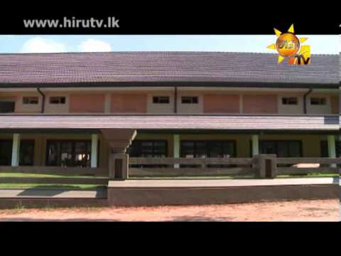 Hiru TV