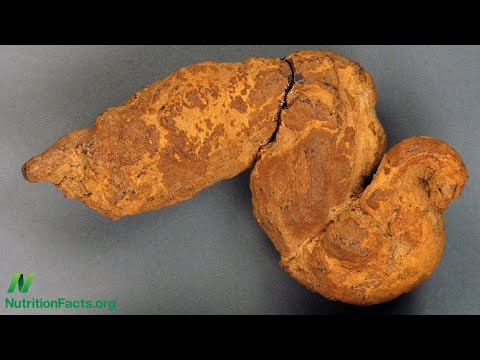 Paleopoo: What We Can Learn from Fossilized Feces