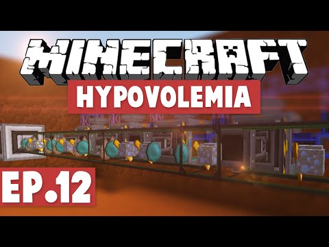 Minecraft Hypovolemia - AE2 AUTOCRAFTING! #12 [Modded HQM Pack]