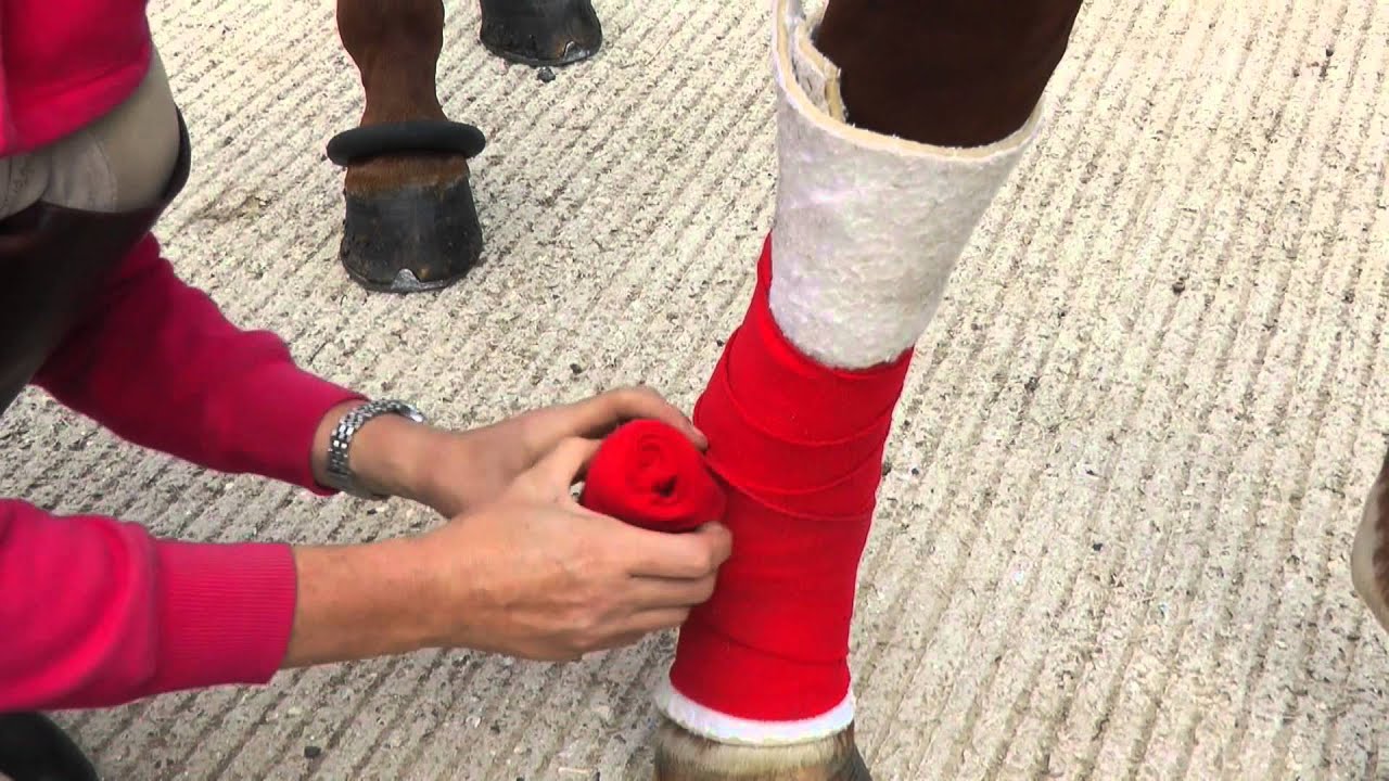 Jo Jackson's Top Tips | How to Apply a Stable Bandage using Fibregee | Horse&Rider Magazine