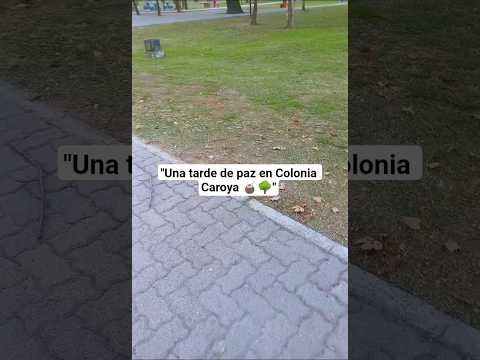DESCUBRIENDO ESTA HERMOSA PLAZA DE COLONIA CAROYA  🧉🌳
