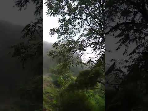 parque nacional Calilegua jujuy