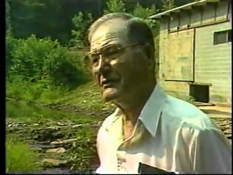 Pop Culture Timeline - 1988    TV News