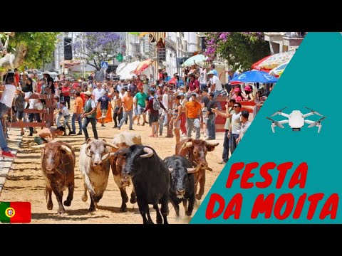 Party of Bulls Run In Moita Portugal filmed by a drone!