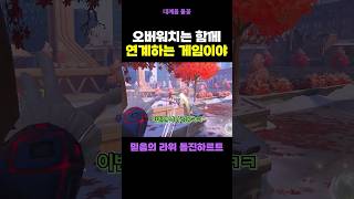 함께 연계하며 즐기는 오버워치