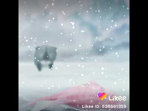 8 de octubre de 2020