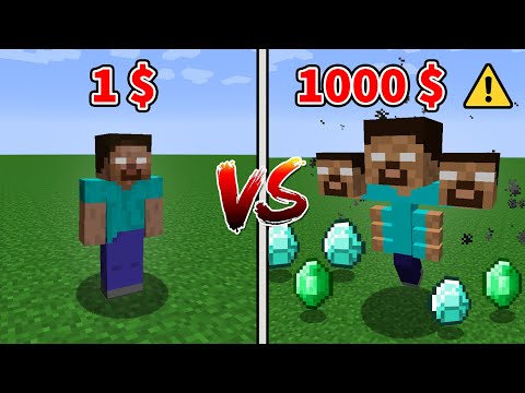 1$ HEROBRİNE VS 1000$ HEROBRİNE - Minecraft