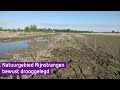 Drooglegging Rijnstrangengebied gunstig voor zeldzame vogels en planten